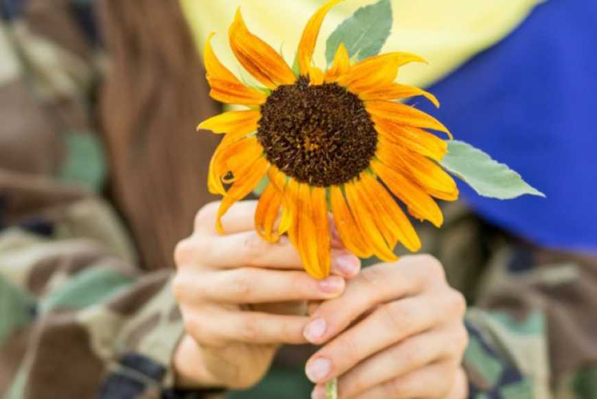 Агросектор України після війни потребуватиме 55 млрд доларів на відновлення