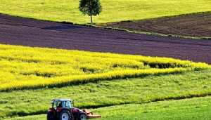 Лише 8% аграріїв позитивно сприймають запуск продажу землі - дослідження