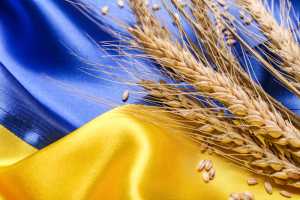Стратегія розвитку сільського господарства та сільських територій в Україні на період до 2030 року