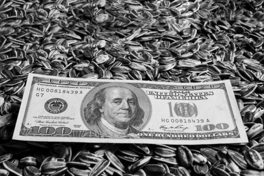 Ринок соняшнику: ціни в Україні залишаються під тиском експортного ринку соняшникової олії