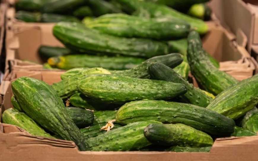 Ціни на огірки в Україні знижуються через низький попит