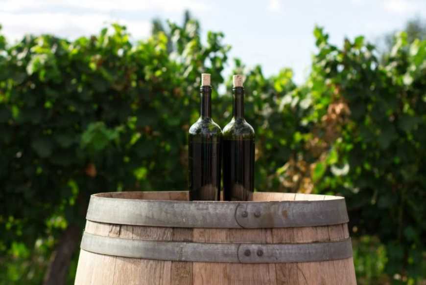 Для виноробів Одещини продовжили прийом заявок на гранти