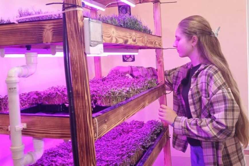 На Хмельниччині ліцеїсти вирощують мікрозелень