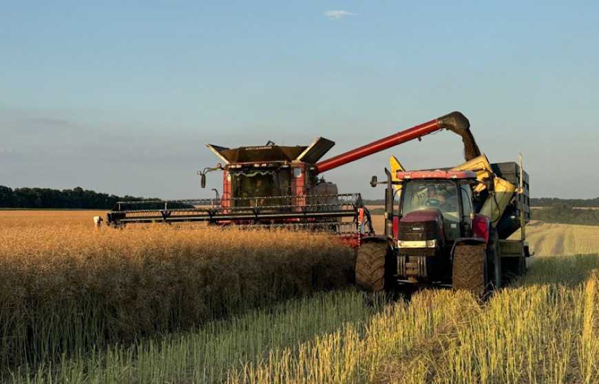 Цьогоріч найврожайнішою культурою для Групи АГРОТРЕЙД став озимий ріпак