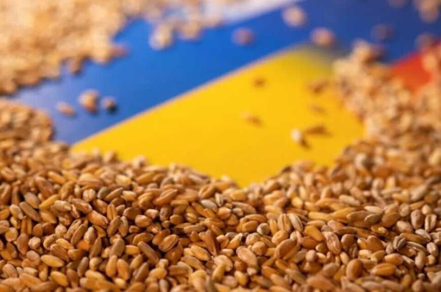 Із Запорізької області окупанти вивезли майже 500 тис. тонн збіжжя