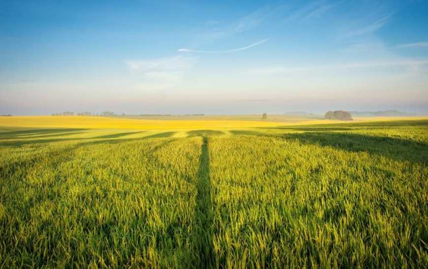 Мораторій на продаж сільгоспземель вступив в силу