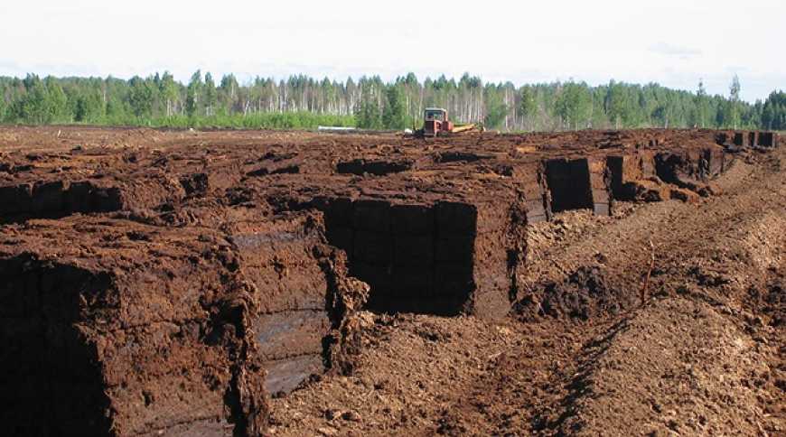 Торф ніхто не відміняв