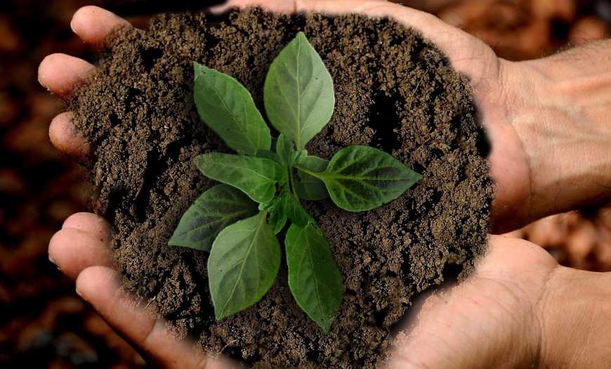 «Ще близько 500 землевласників хочуть подати на Україну до ЄСПЛ через земельний мораторій», - адвокат