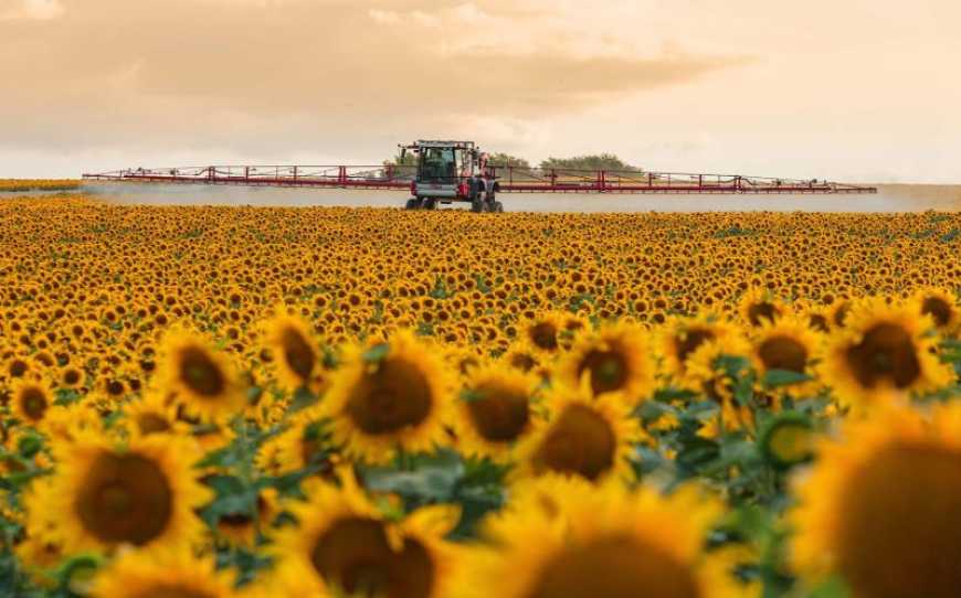 Кожен другий фермер України не готов до переходу на європейські ЗЗР – опитування