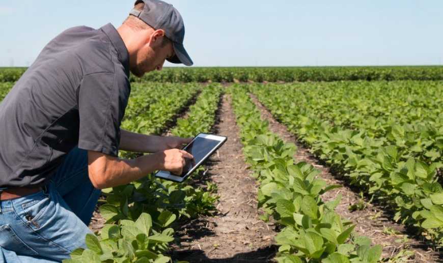 Держава надасть фінансові інструменти лише власникам землі до 500 га, – Милованов