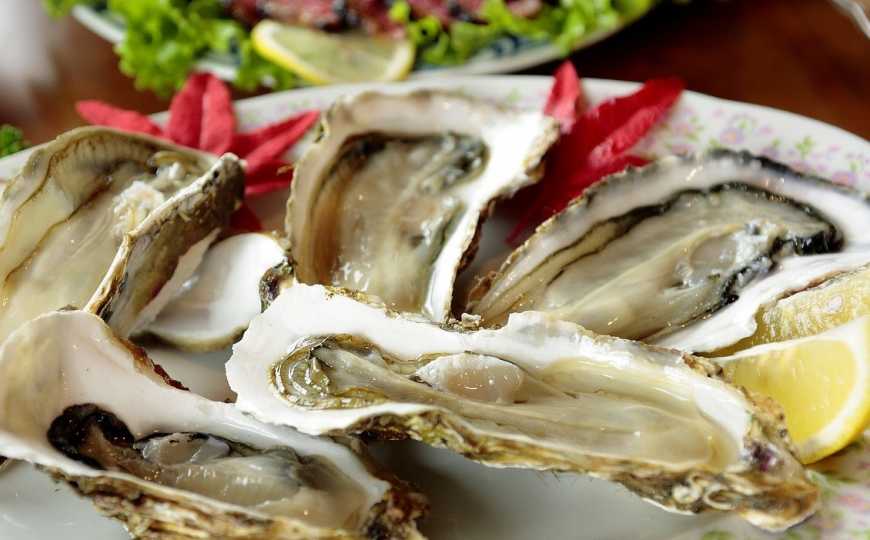 Киянин створив власну устричну ферму