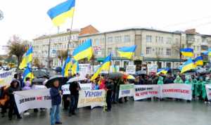 Фермери вважають відкриття ринку землі у нинішніх умовах недоречним і дочасним