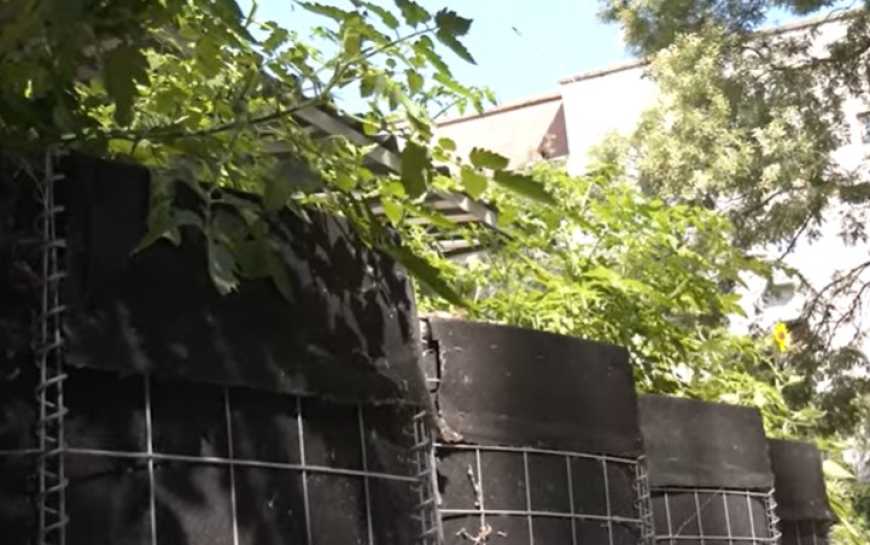 Мешканці Херсона вирощують городину на габіонах