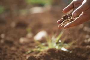 Україна переходить у зону ризикованого землеробства?