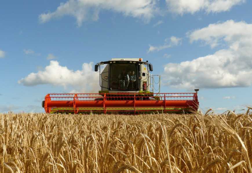 В Україні завершено збирання ранніх зернових культур