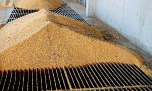 Що потрібно знати про використання скрапленого газу для сушіння зерна