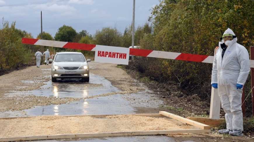 В Україні визначено порядок встановлення карантинних ветеринарних постів на кордоні