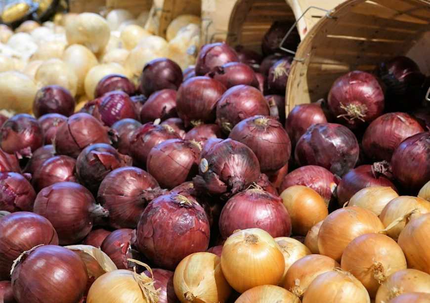 На гуртових ринках України зростають ціни на цибулю