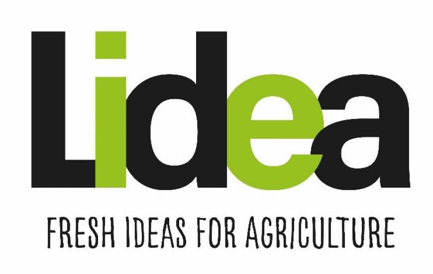 Компанії Lidea: завершення злиття EURALIS Semences і CAUSSADE Semences Group