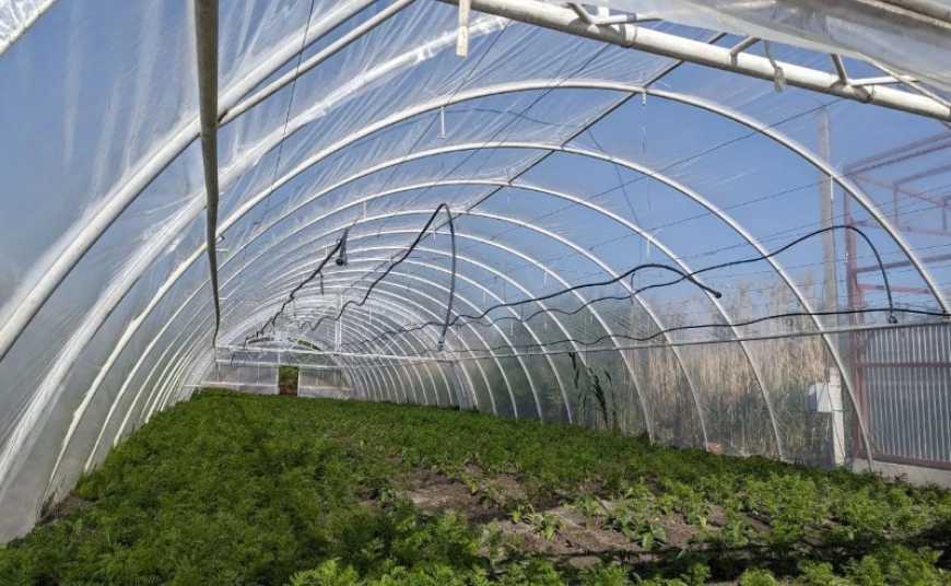 На Дніпропетровщині побудують ще 32 теплиці