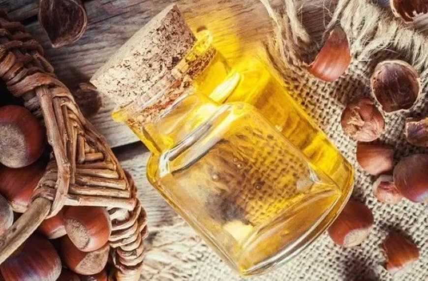 На Київщині виробляють органічну олію з фундука
