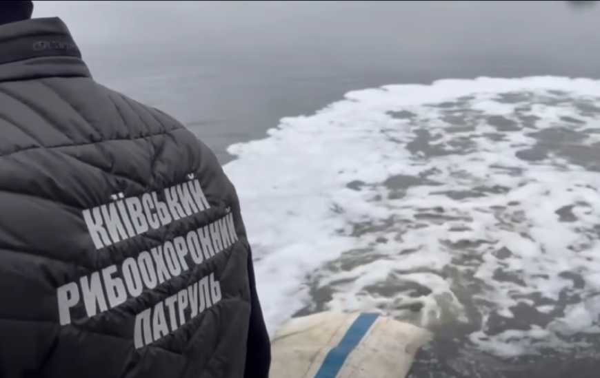 На Київщині відбулося історичне зариблення Канівського водосховища