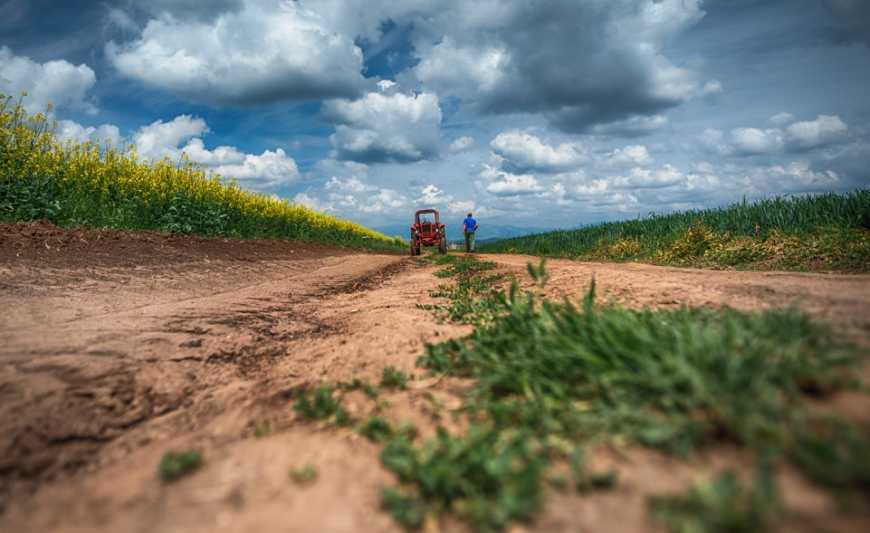 Нардепи пропонують внести зміни в оподаткування новостворених фермерських господарств