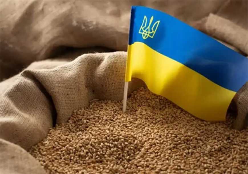 Серед європейських імпортерів українську агропродукцію найбільше закуповує Іспанія