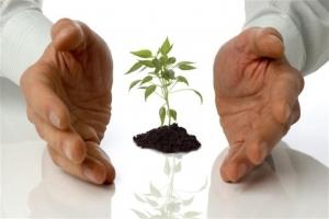 Arysta LifeScience та DuPont будуть глобально співпрацювати в галузі захисту насіння