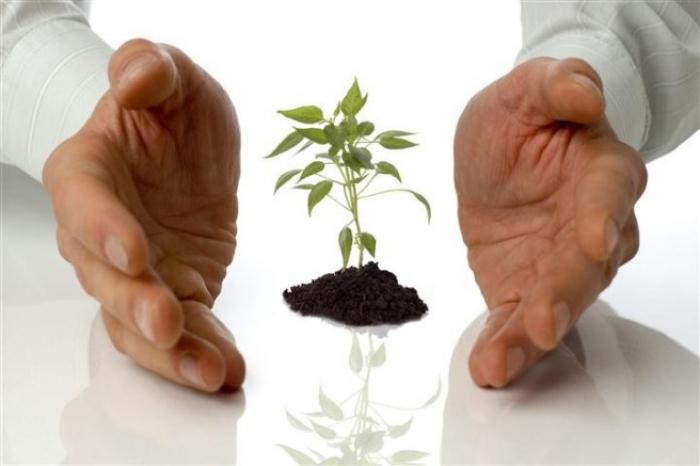 Arysta LifeScience та DuPont будуть глобально співпрацювати в галузі захисту насіння