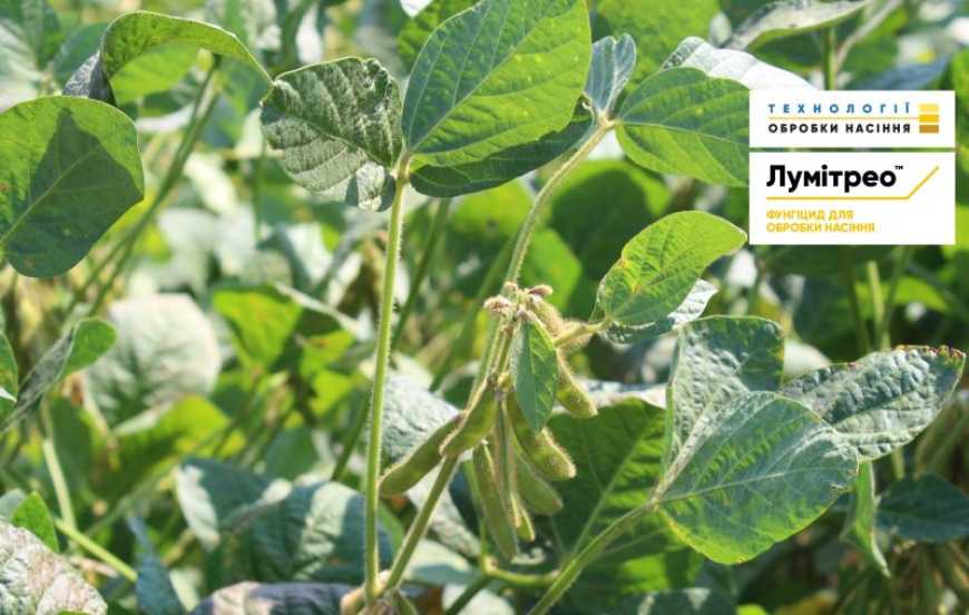 Лумітрео&trade;