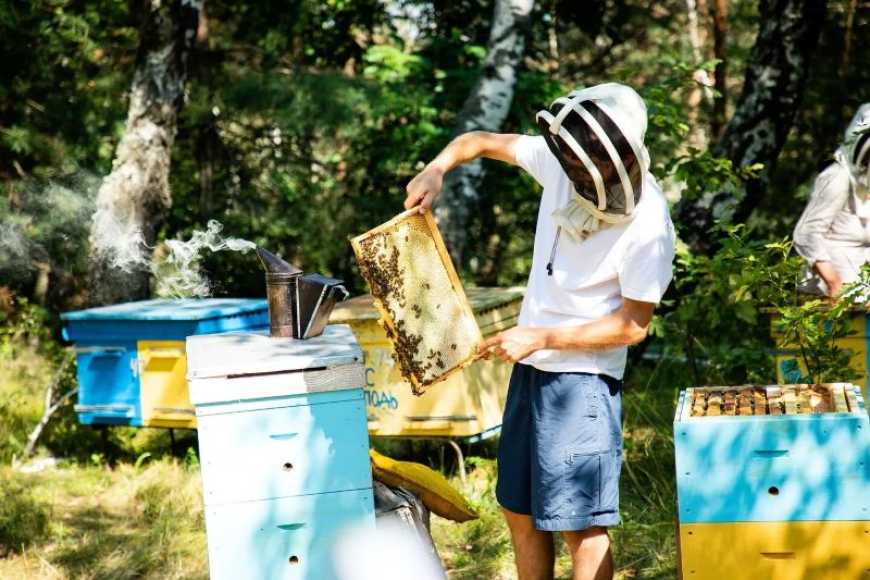 Переселенці з Луганщини відроджують власну пасіку на Канівщині