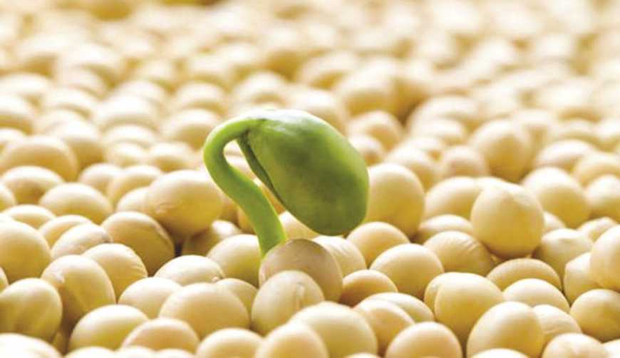 Експерт назвав найбільш прибуткові органічні агрокультури