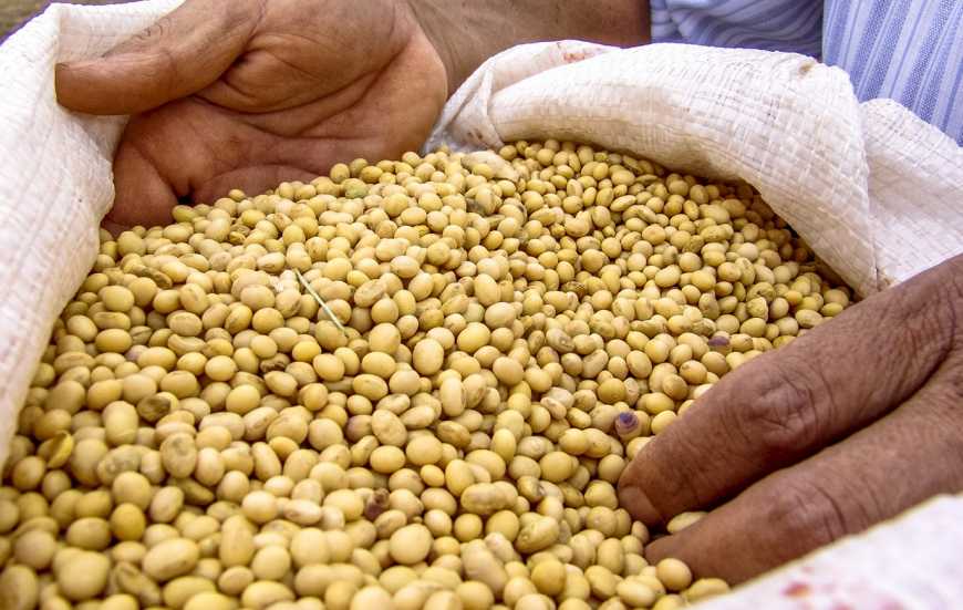 Жнива-2019: аграрії України зібрали 39,5 млн тонн зерна