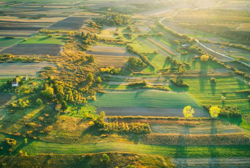 Рада ухвалила законопроєкт щодо захисту інтересів власників земельних паїв