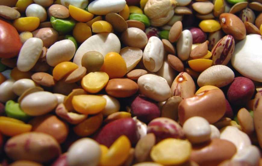 Бобові увійшли до топ-10 продуктів українського експорту АПК