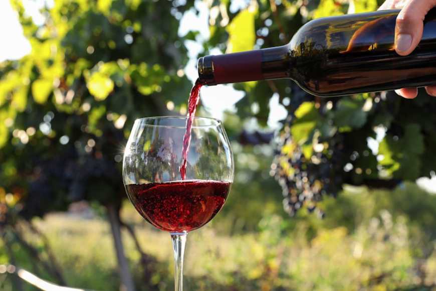 «Вина Срібної Землі»: на Закарпатті обрали вина, які об’єднаються під географічним зазначенням