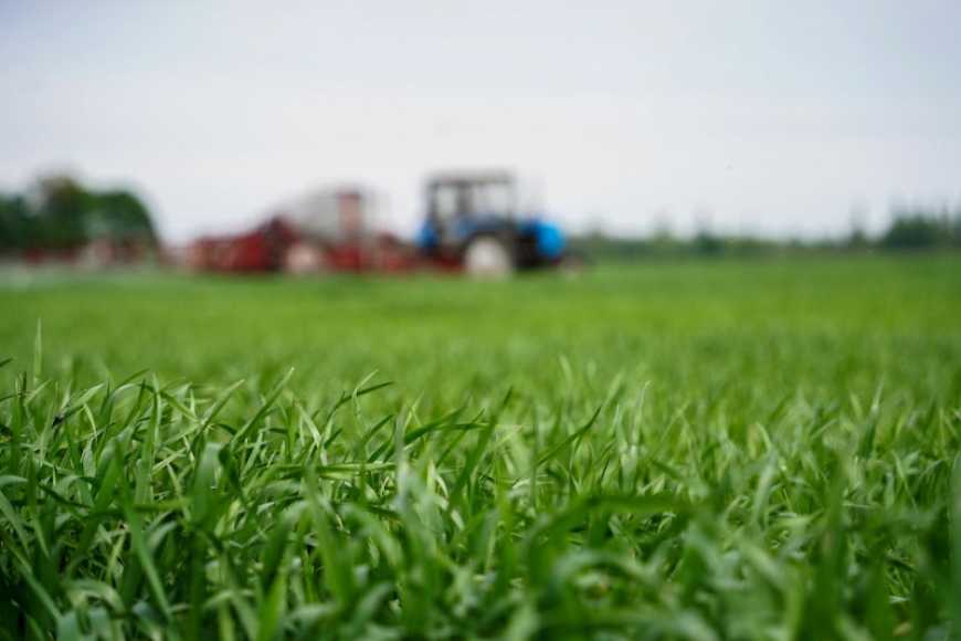 Пріма&trade; Форте &mdash; перший серед кращих!