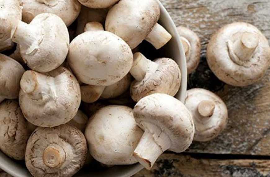 Переселенець з Донеччини відкрив ферму з вирощування печериць на Черкащині