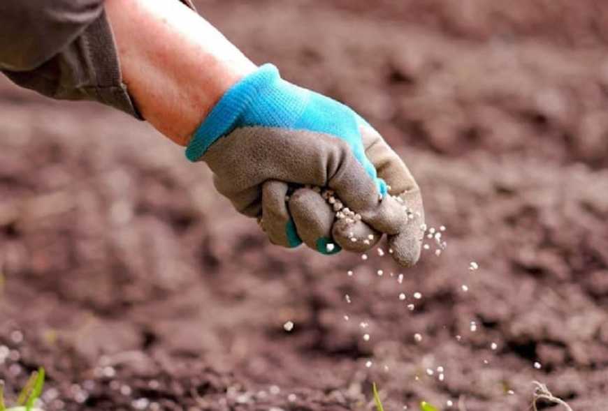 Україна збільшила імпорт добрив