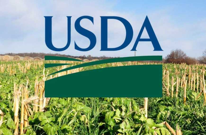 Американські фермери масово ігнорують опитування USDA