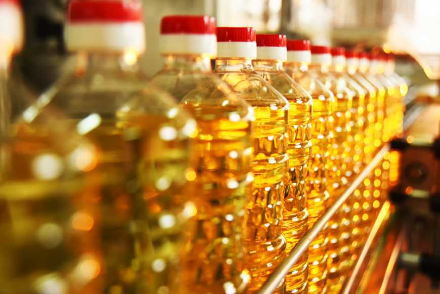 Тенденції та перспективи виробництва олійних культур в Україні й аналіз експорту олії
