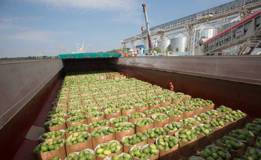 Фермери розповіли, скільки барж з кавунами попливе до Києва