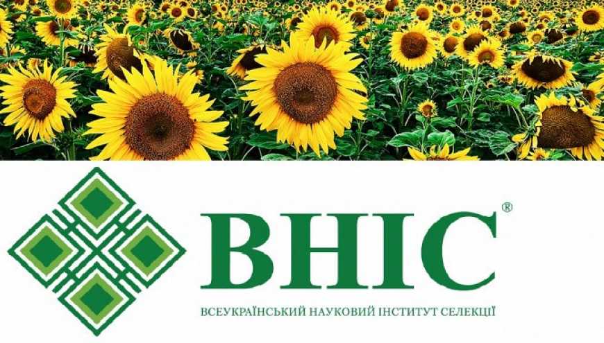 Гроші ті ж, а насіння - вдвічі більше!!!