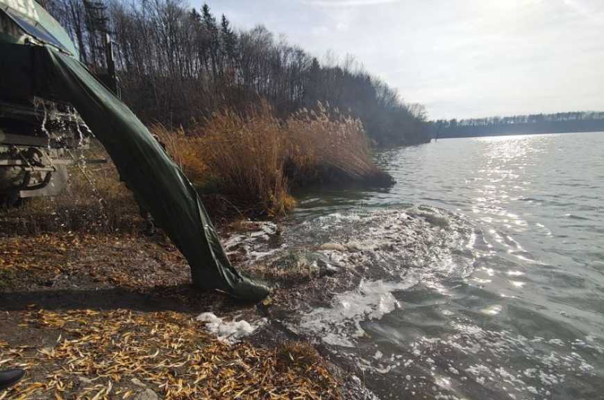 Понад 200 тис. рибин вселено у водойми Хмельниччини та Донеччини