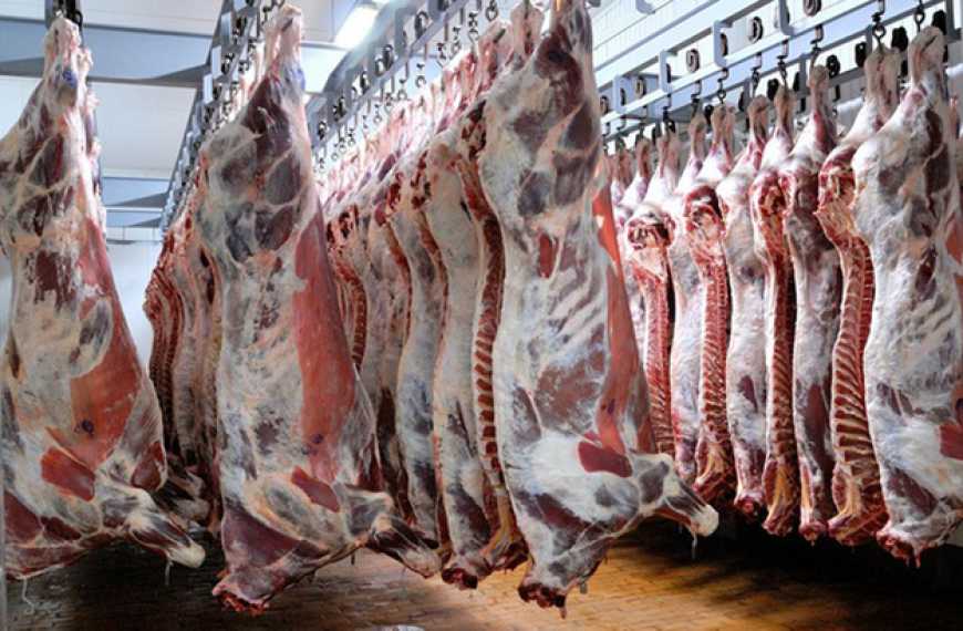 Тваринництво: в Україні оновлено вимоги щодо огляду тварин до та після забою