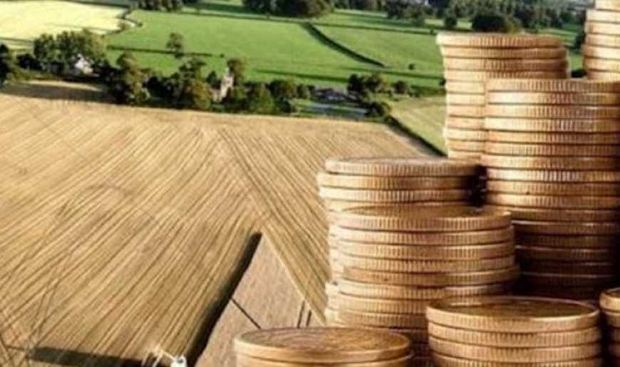 Україна увійшла до п'ятірки світових лідерів за часткою сільгоспземель