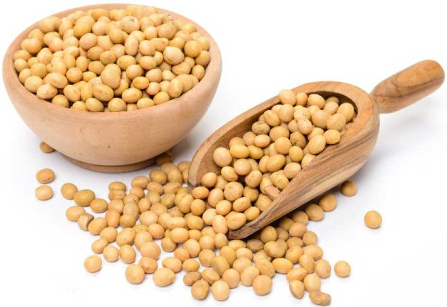 Ринок сої: ціни в Україні продовжують падати, але їх може підтримати зростання світових котирувань