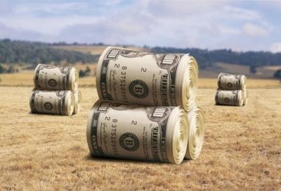 У Раді зареєстрували постанову про скасування прийняття закону про продовження мораторію на продаж землі