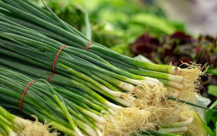 В Україні різко подорожчала зелена цибуля